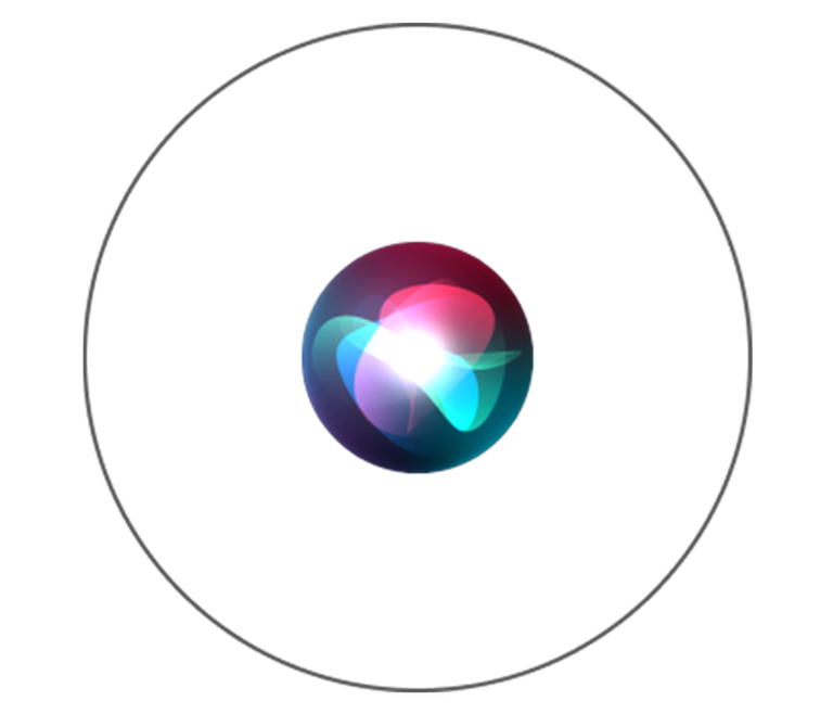 Works with AppleSiri